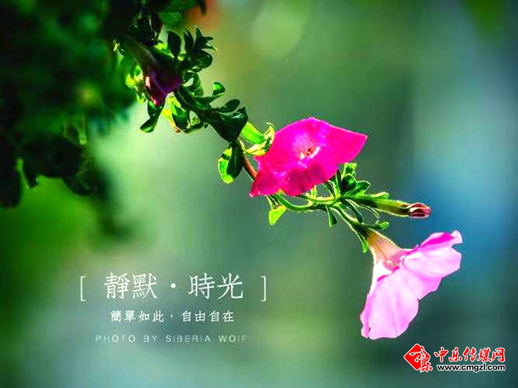 微信图片_20221124102451.jpg